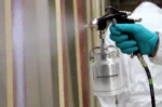 Fpro S Airspray - Image 2
